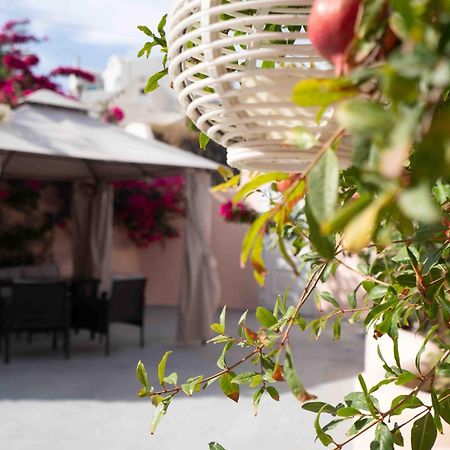 Santorini Oasis- Cave House Βίλα Φηρά Εξωτερικό φωτογραφία